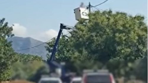 Ασπρόπυργος : 12 συλλήψεις για ρευματοκλοπή